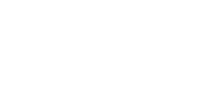 PDI Technologies Logo